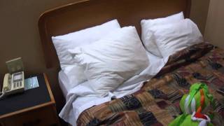 Hotel Room tour  Sleep inn Albemarle NC [upl. by Sara]