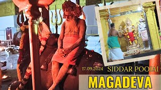 NANDHI POOJAI I SIDDAR POOJAI I MAGADEVA I [upl. by Melville120]