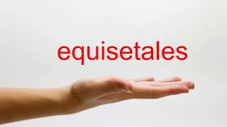 How to Pronounce equisetales  American English [upl. by Noizneb238]