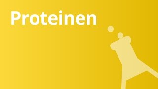 Der Nachweis von Proteinen  Chemie  Organische Verbindungen – Eigenschaften und Reaktionen [upl. by Casilde598]