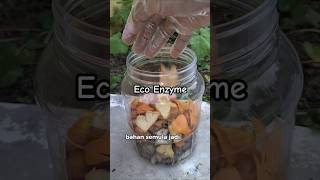 Eco enzyme Bio enzyme Pernah dengar ke [upl. by Waylon]