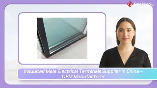 Insulated Male Electrical Terminals Supplier in China  OEM Manufacturer [upl. by Oramlub]