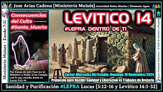 20241106 Tienes que dar TESTIMONIO EN TU IGLESIA ⛪ de tu Sanidad y Liberacion Levitico14 [upl. by Ruddie]