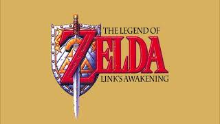 Raft Ride Alternate Route  The Legend of Zelda Links Awakening [upl. by Paske]