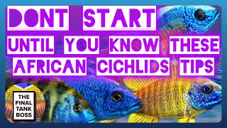 TOP 10 TIPS for African Cichlids  Peacocks and Haps [upl. by Ellehsyt]