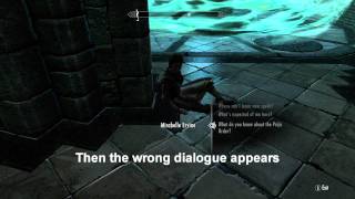 Skyrim  REVEALING THE UNSEEN  GlitchBug [upl. by Larisa]