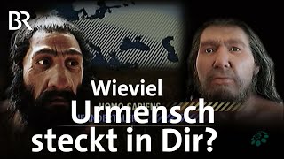 Evolution Der Urmensch in uns  Faszination Wissen  BR [upl. by Rubie]