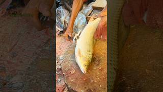 Amazing Mrigal Fish Cutting Video In Fish Market  Fastest Fish Cutting😱 shorts [upl. by Eenahpets]