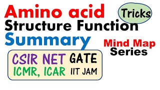 Amino acid biochemistry  amino acid structure and function [upl. by Broddie]