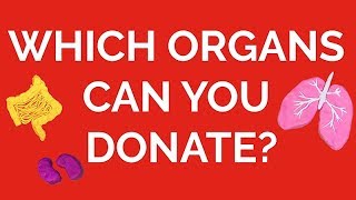 Which Organs Can You Donate [upl. by Ynamad950]