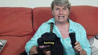 Instantly stop barking amp Protect yourself on walks [upl. by Lucas]