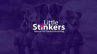 Little Stinkers Video Ad H v1 edit1 [upl. by Samson]