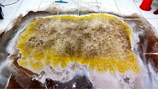 Deep cleaning with New Method ll Satisfying carpet cleaning ASMR [upl. by Enalda]