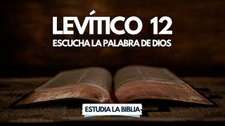 Levítico Capítulo 12  Audio  Escucha la Palabra de Dios [upl. by Hnacogn]