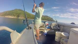 Mackay Cockermouth IslandShallow water reef fishing [upl. by Tnomed804]