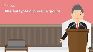 Different Types of Pressure Groups  ALevel Politics Revision Video  Study Rocket [upl. by Aronle559]