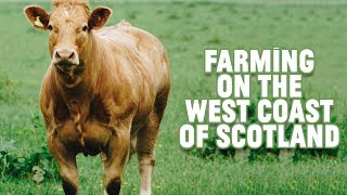 Farming on the west coast of Scotland [upl. by Eniak236]