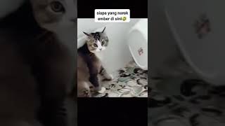 Si Oyen Tabrak Ember youtube Aqsya Channel [upl. by Wiggins817]