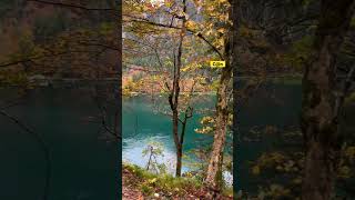 autumn alpee nature alpen alpstein bayern mountains walking radtour allgau neuschwanstein [upl. by Idur]