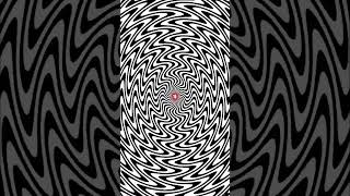 how do optical illusions trick your eyes and brain shorts illusion short [upl. by Leraj]