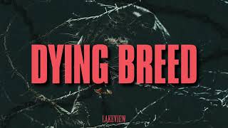 Lakeview  Dying Breed Visualizer [upl. by Rebe]