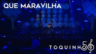 Toquinho  Que Maravilha Ao Vivo [upl. by Katha]