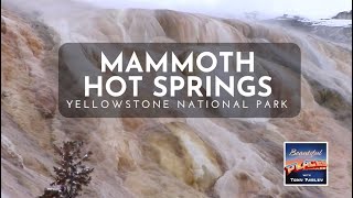 Mammoth Hot Springs Yellowstone National Park [upl. by Annal]