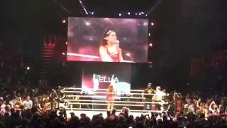 WWE Brie Bella Entrance In London [upl. by Berte]