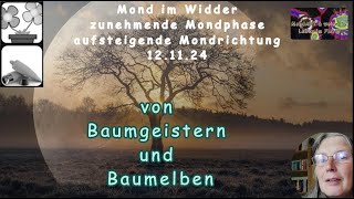 Mond Geflüster von Baumgeistern und Baumelben [upl. by Norvall591]