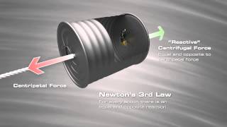 Centripetal vs Centrifugal [upl. by Pincince]