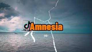 amnesia  Wawan kai 2024 [upl. by Nyleda740]