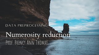 Data Preprocessing  Numerosity reduction [upl. by Nesaj]