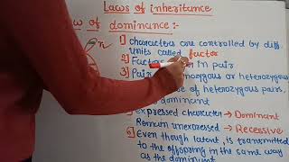 Lectures 5  Mendels law of inheritance  Laws of inheritance  Law of dominance [upl. by Goeselt567]