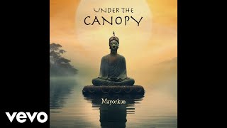 Mayorkun  Under The Canopy Official Audio [upl. by Nyvrem]