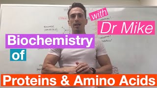 Proteins amp Amino Acids  Biochemistry [upl. by Asoral935]