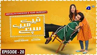 Tere Mere Sapnay Episode 20  Eng Sub  Shahzad Sheikh  Sabeena Farooq  29th March 2024 [upl. by Enelrak]