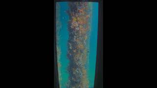 Busselton Jetty  UWO South Cam  Live [upl. by Camille]