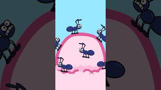 Eek The Ants are Everywhere – Hooray Kids Songs shorts kidssong animals ants [upl. by Ramar779]