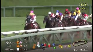 G2 SANKEI SHO CENTAUR STAKES 2024 [upl. by Nylodam]