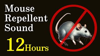 12h Mouse Repellent Noise  Highfrequency sounds Not compatible with iPhone [upl. by Luelle]