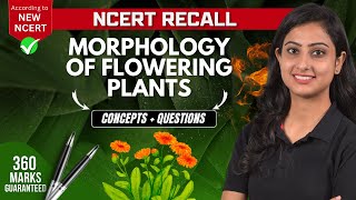 Morphology of flowering plants  Concepts  Questions  NCERT RECALL  NEET 2024 [upl. by Erdei256]