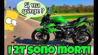 KAWASAKI Z125 2019  DATEGLI UNA POSSIBILITÀ [upl. by Belia]