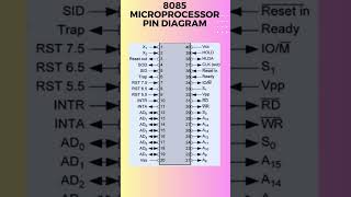 8085 microprocessor pin diagram [upl. by Acile]