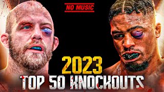 Top 50 Brutal Knockouts Of 2023  MMA Kickboxing Boxing [upl. by Aliban]