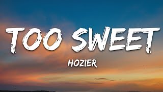 Hozier  Too Sweet Lyrics [upl. by Dor367]