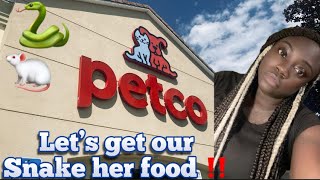 Come with Hershey amp’ her girls to get snake food from Petco 🐍🐍🐁🐁 [upl. by Eirot]