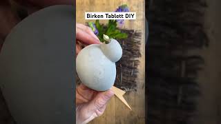 Birken Tablett diy spring nature [upl. by Aloiv]