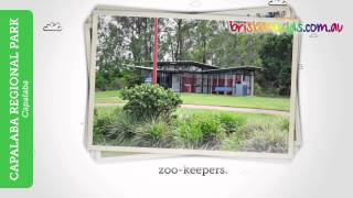 Capalaba Regional Park • Brisbane Kids [upl. by Ilke885]