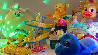 LET’S PLAY asmr asmrsounds asmrvideo satisfying toys duck cute relaxing play playtime [upl. by Relyks877]