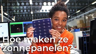 Hoe worden zonnepanelen gemaakt  Doen Ze Dat Zo  Het Klokhuis [upl. by Ahsenrac]